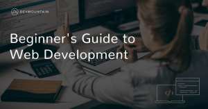The Beginners Guide to Website Development 60857 1 300x157 - The Beginner's Guide to Website Development